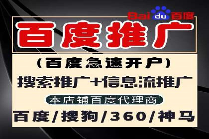 某企业选择sem代运营公司的决策过程及效果展示